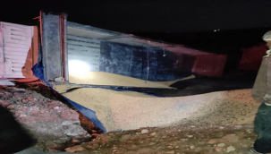 Suruç'ta trafik kazası