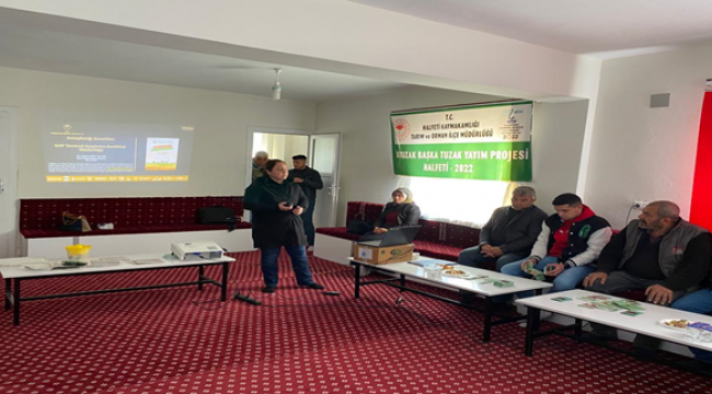Urfa fıstığında dal güvesi ile mücadele