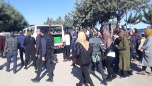 Urfa'da kardeşini öldüren zanlı tutuklandı 