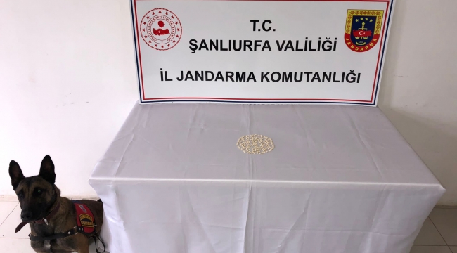 Urfa"da uyuşturucu operasyonu