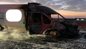 Viranşehir'de Başıboş Eşekler Kazaya Neden Oldu