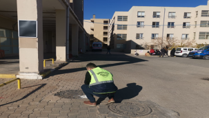 Viranşehir'de larva ilaçlama çalışması başladı