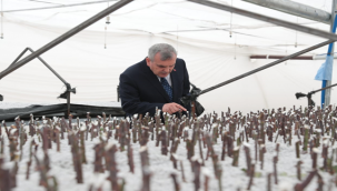 Başkan Beyazgül, "Yemyeşil Bir Şanlıurfa İçin Üretiyoruz"