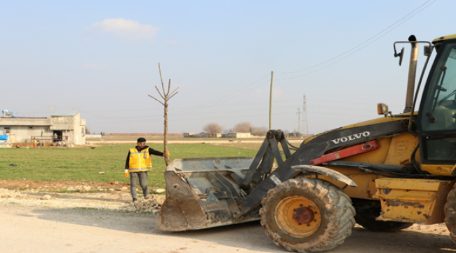 Büyükşehir'den Farklı Bölgelerde Ağaçlandırma Çalışması