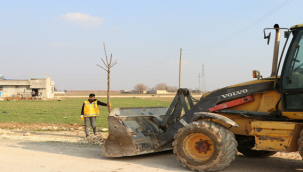 Büyükşehir'den Farklı Bölgelerde Ağaçlandırma Çalışması
