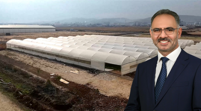  Eyyübiye Sera Kent Dört Mevsim Üretim Yapacak