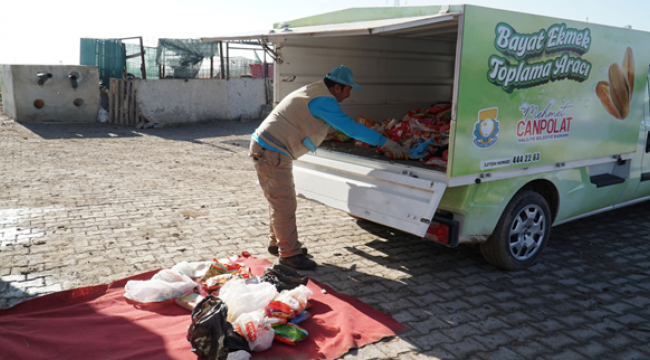 Haliliye Belediyesi, Günlük 500 Kilogram Ekmek İsrafını Önlüyor