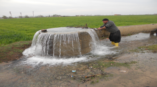 Harran Ovasında Betonlaşma 