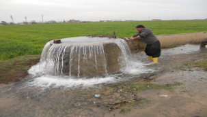 Harran Ovasında Betonlaşma 