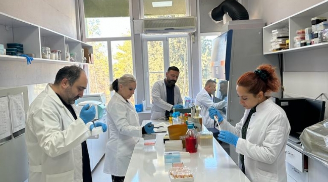 Harran Üniversitesi'nde Brucella Konusunda İki Önemli Uluslararası Çalışma