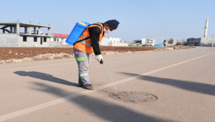 Hilvan'da Larva İle Mücadele Başladı