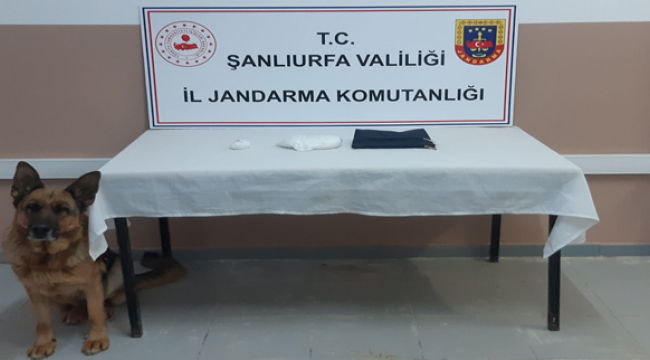 Jandarma aramasında ele geçirildi!