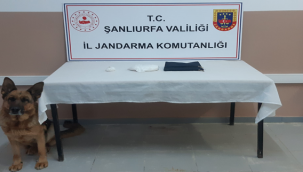 Jandarma aramasında ele geçirildi!