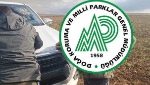 Şanlıurfa'da 1 kişi suçüstü yakalandı