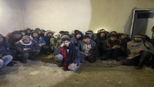 Şanlıurfa'da 101 düzensiz göçmen yakalandı