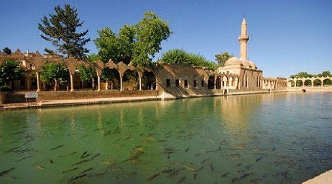 Şanlıurfa'da 5 kişi hayatını kaybetti!	