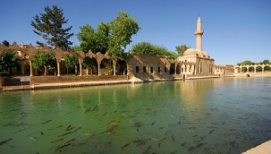 Şanlıurfa'da 5 kişi hayatını kaybetti!	