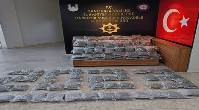 Şanlıurfa'da 74 şüpheli gözaltına alındı!