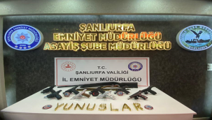 Şanlıurfa'da çok sayıda silah ve Mühimmat yakalandı