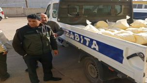 Şanlıurfa'da küflenmiş tereyağlar imha edildi!