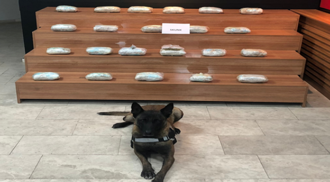 Urfa'da uyuşturucu operasyonu, 2 gözaltı