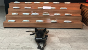 Urfa'da uyuşturucu operasyonu, 2 gözaltı