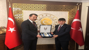 Vali Ayhan, Katar'da