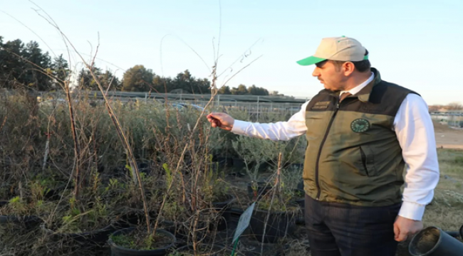 Vali Ayhan, Orman alanlarımızı artırıyoruz