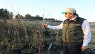 Vali Ayhan, Orman alanlarımızı artırıyoruz