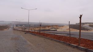 Vali Ayhan, Türkiye 3'üncüsü Olan Viranşehirli Sporcuyu Kabul Etti