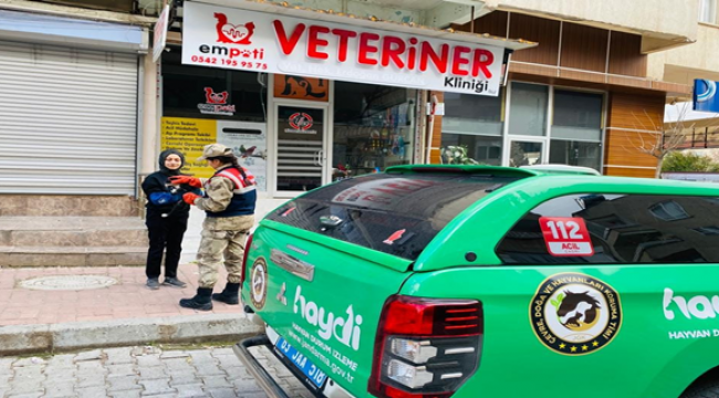 Depremde mahsur ve zarar gören kediler kurtarıldı