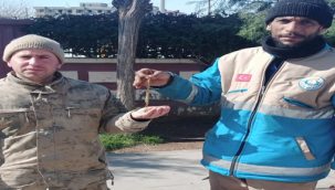 Haliliye Temizlik Personelinden Adıyaman'da Örnek Davranış