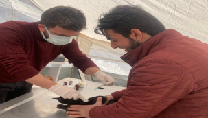 Şanlıurfa Büyükşehir Belediyesi'nden Adıyaman'da Sokak Hayvanları İçin Çadır Hastane