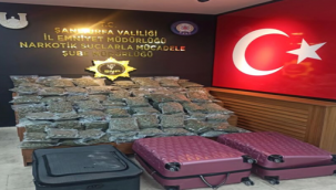 Şanlıurfa'da çok sayıda skunk ele geçirildi