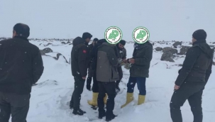 Şanlıurfa'da kaçak avcılar suçüstü yakalandı