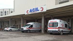 Şanlıurfa'da trafik kazası, 12 yaralı