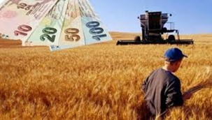 Urfalılar müjde! Destek ödemleri bugün yatacak