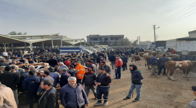 Bölgenin en büyük hayvan pazarı Şanlıurfa'da