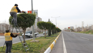 Büyükşehir'den Kent genelinde çiçek ekimi