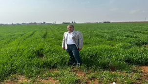 GAP Çiftçisine müjde desteklemeler Bugün hesaplara yatacak