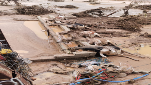 Karaköprü'de 8 büyükbaş hayvan telef oldu