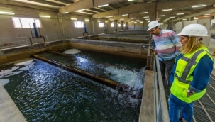 Şanlıurfa Büyükşehir'den su açıklaması!