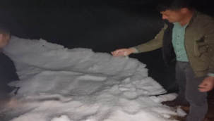 Şanlıurfa'da dolu etkili oldu