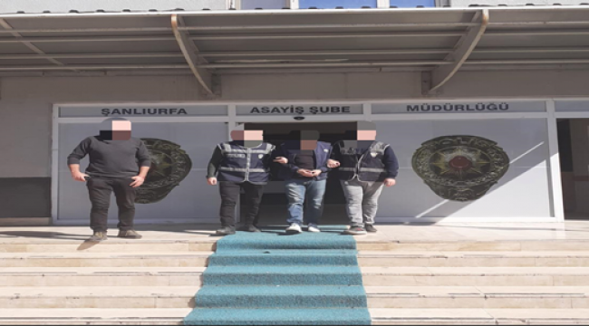 Şanlıurfa'da firari dolandırıcı yakalandı