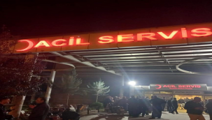 Şanlıurfa'da hayvan otlatma kavgası: 1 ölü