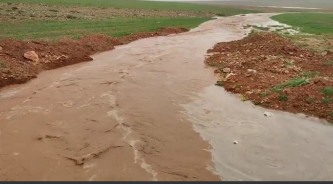 Şanlıurfa'da sağanak yağış etkili oldu 