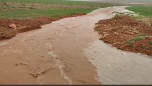 Şanlıurfa'da sağanak yağış etkili oldu 