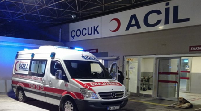 Şanlıurfa'dan Trabzon'a Giden Yolcu Otobüsü Erzincan'da Kaza Yaptı:2 ölü, 21 yaralı