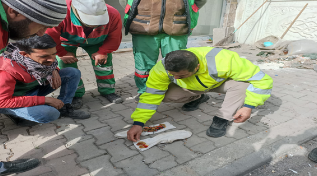 Şanlıurfalı temizlik personeli çöpte onlarca altın buldu
