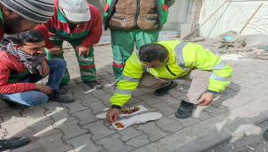 Şanlıurfalı temizlik personeli çöpte onlarca altın buldu